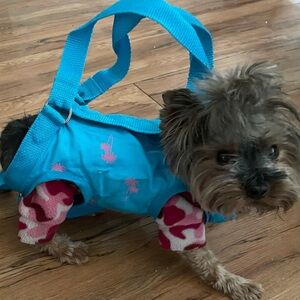 Turquoise and Pink Palm Trees Puppy Purse and Harness 
Medium